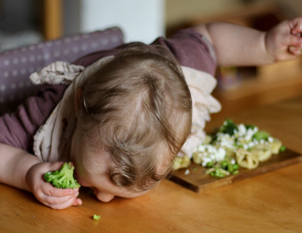 Picky Eating Beratung Witten Herdecke Bochum Dortmund online